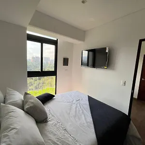 Stayh - Terrum B Guatemala